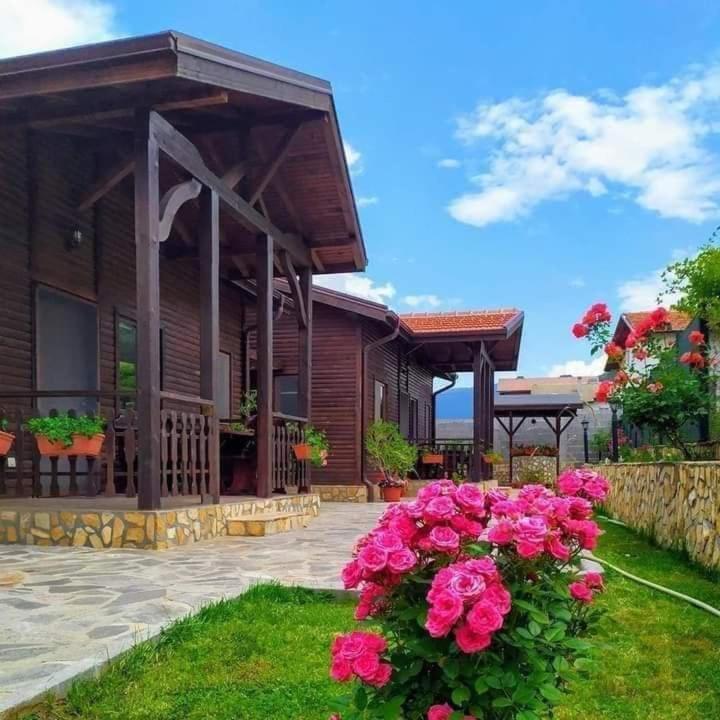 Andreevite Houses Sapareva Banya Buitenkant foto